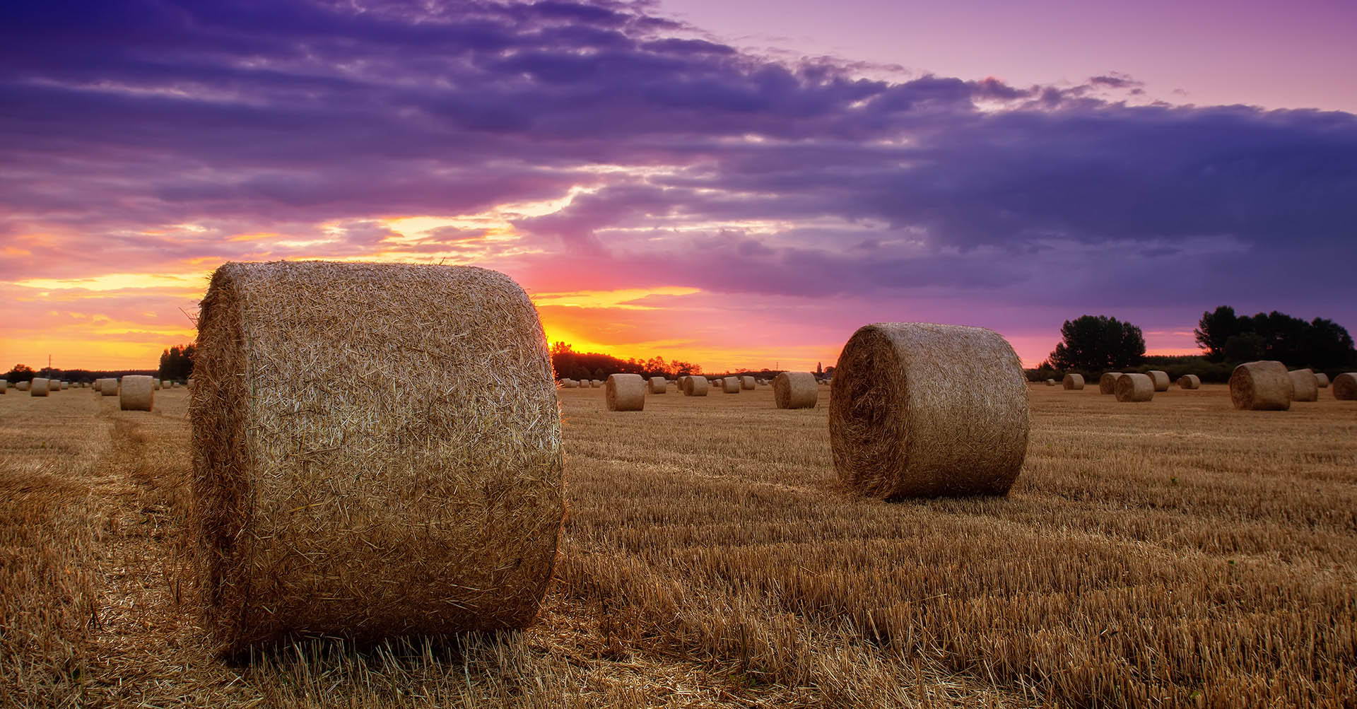 crop-baling-revolution-slider (1)